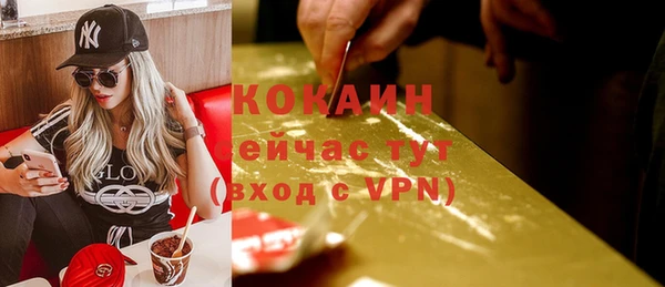 скорость Няндома