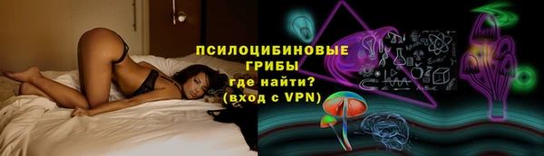 бошки Нягань