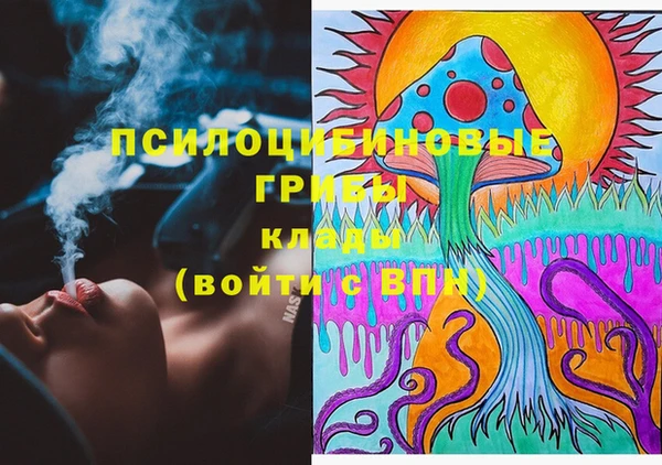 бошки Нягань